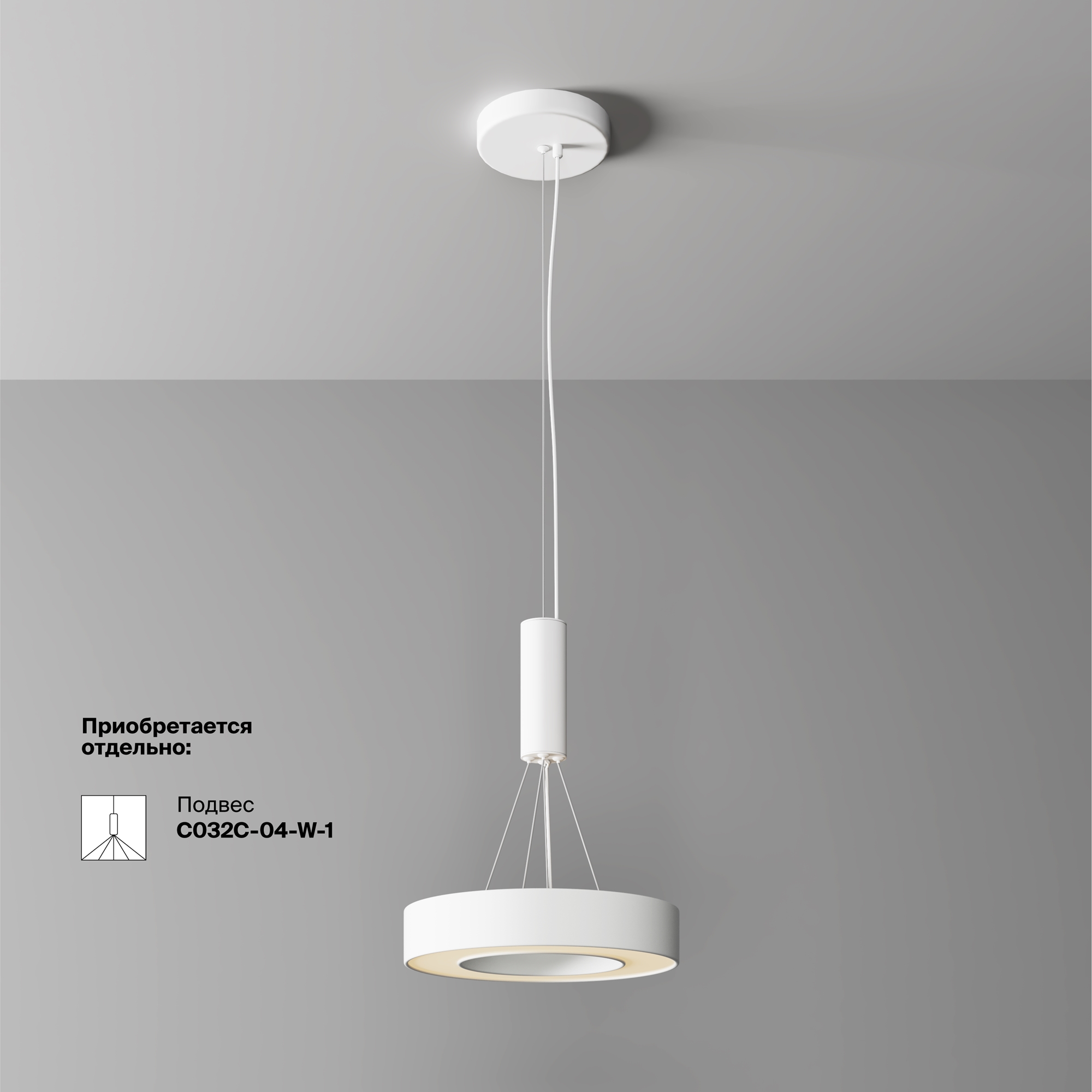 Потолочный светильник Technical C093CL-24W3K-W